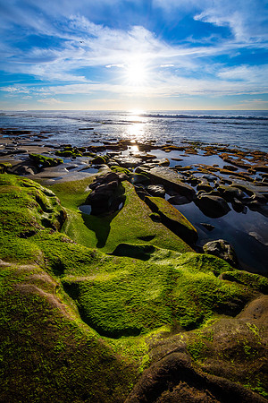 Mossy Shore, Hospital Reef