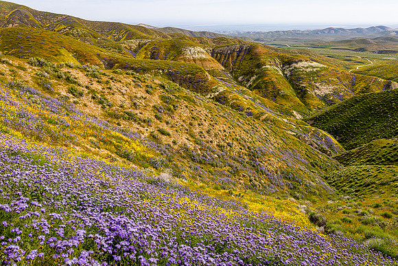Downslope Views, Carrizo Plain NM
