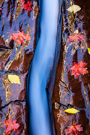 Funneled Flow, Zion NP