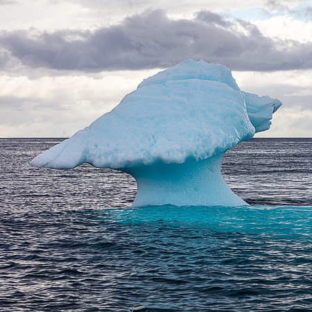 Mushroom Iceberg 1