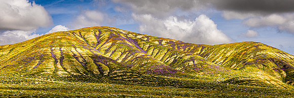 Vained Hill Pano, Carrizo Plain NM