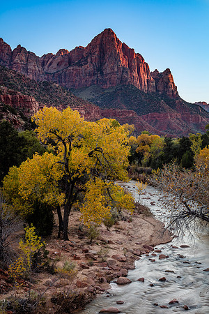 Last Rays of Sunlight, Zion NP