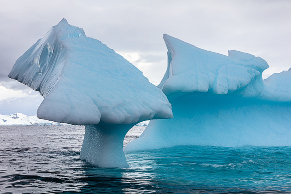 Mushroom Iceberg 3