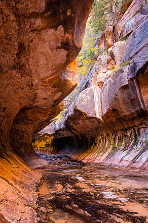 Natural Subway, Zion NP