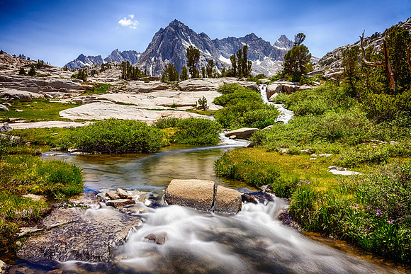 Meadow Watercourse