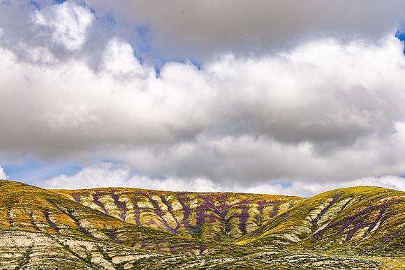 Cloud Cover, Carrizo Plain NM