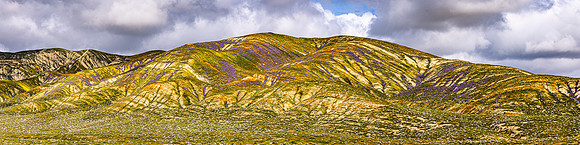 Colored Hills, Carrizo Plain NM