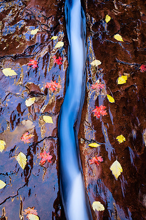 Autumn Aquaduct, Zion NP