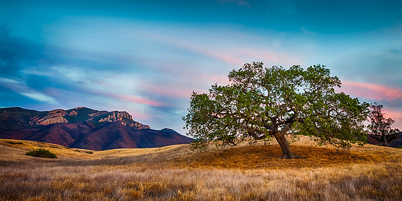 Oak & Boney Mountain Twilight