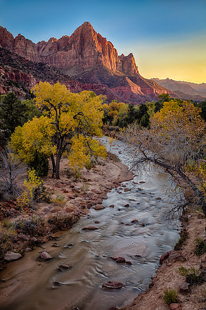 Watchman Golden Light, Zion NP