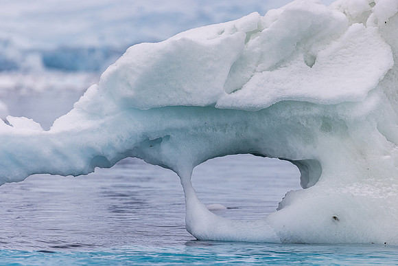 Iceberg 5
