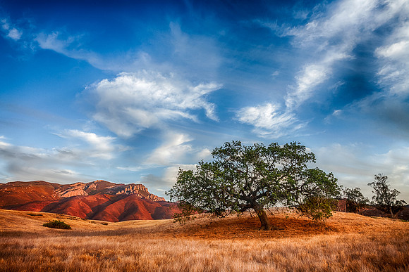 Indian Summer