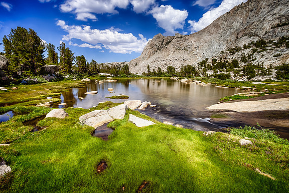 Grassy Alpine Pond