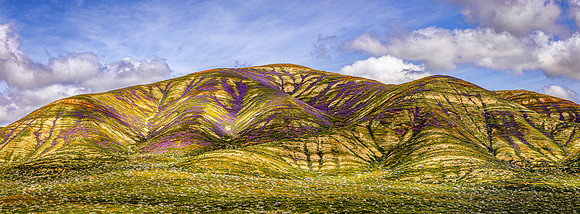 Deep Purple Pano, Carrizo Plain NM