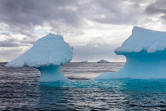 Mushberg Iceberg 2