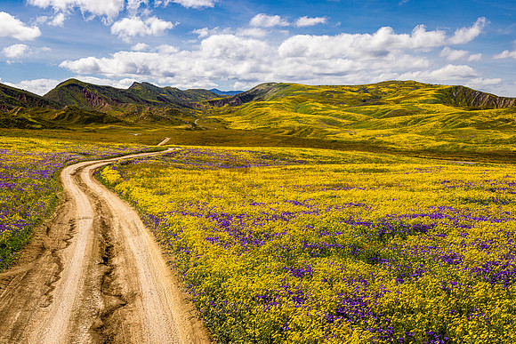 The Road Less Traveled, Carrizo Plain NM