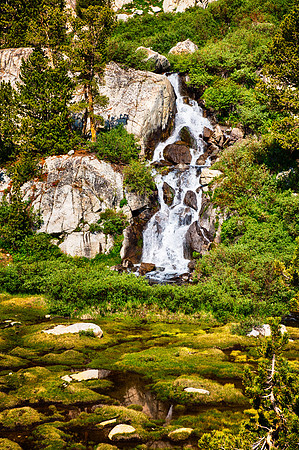 Lush Cascade