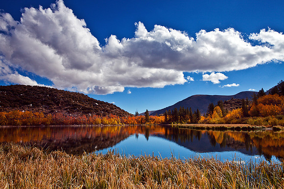 Autumn Shoreline
