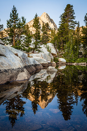 Mosquito Pond Reflection