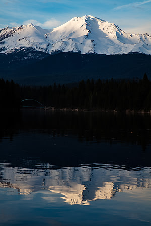 Shasta Reflection