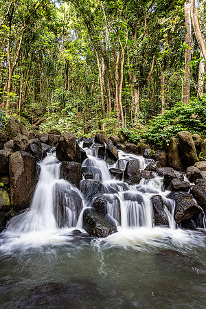 Queen's Bath and Forest, Wailua River, Kauai