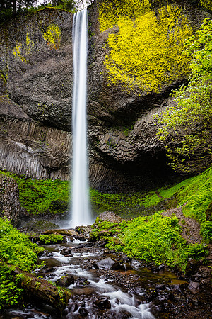 Latourell Falls & Bright Green Moss, Columbia River Gorge
