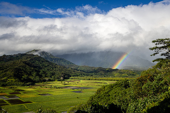 Rainbow from Hanalei Lookout, Kauai