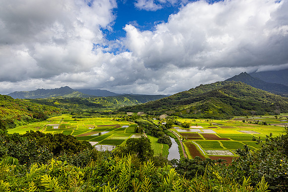 Hanalei Lookout, Kauai