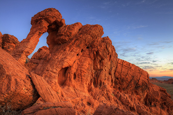 Petrified Pachyderm, Valley of Fire SP