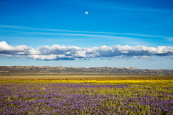 Carrizo Moon Rise, Carrizo Plain NM