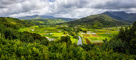 Hanalei Lookout Panorama, Kauai
