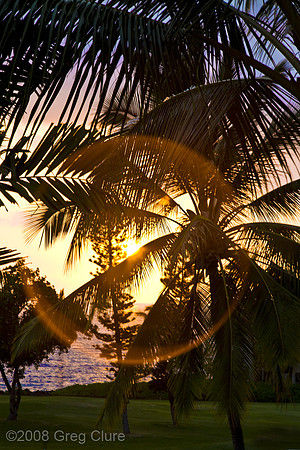 Kona Coast Sun Circle