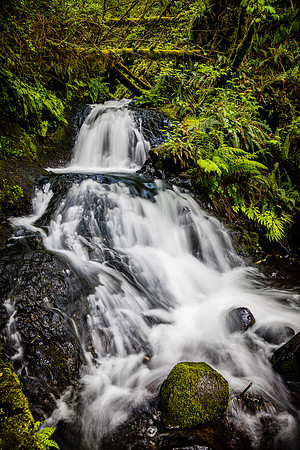 Upper Shepherd's Dell, Columbia River Gorge