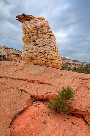 Eastside Hoodoo, Zion NP