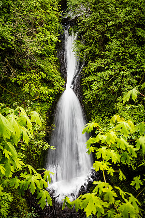 Shepherd's Dell, Columbia River Gorge