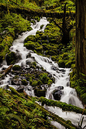 Wahkeena Creek, Columbia River Gorge