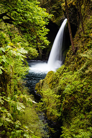 Metlako Falls & Eagle Creek, Columbia River Gorge