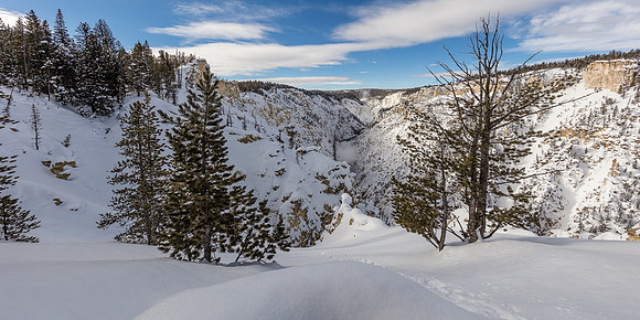 Grand Canyon of the Yellowstone