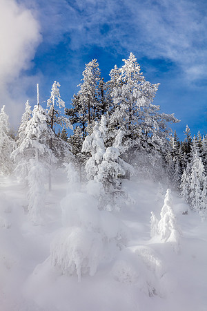 Steam and Ice, Norris Geyser Basin, Yellowstone NP