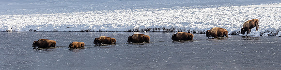 River Crossing, Madison River, West Yellowstone