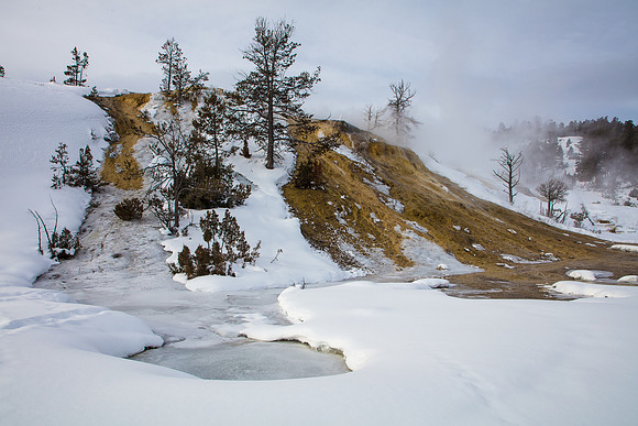 Mammoth Hot Springs, Yellowstone NP