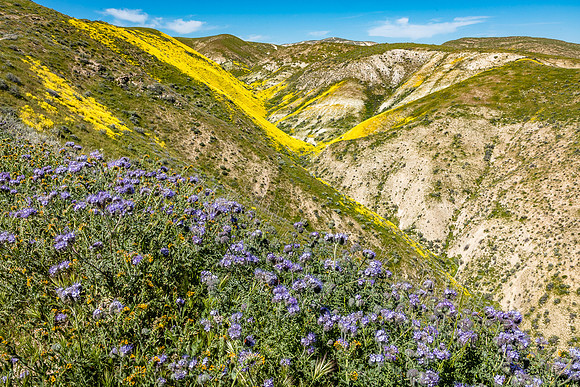 Elkhorn Grade, Temblor Range-Carrizo Plain