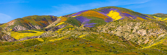 Painted Hills, Temblor Range-Carrizo Plain