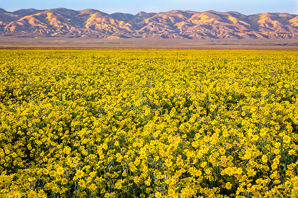 Carrizo Plain Sunset