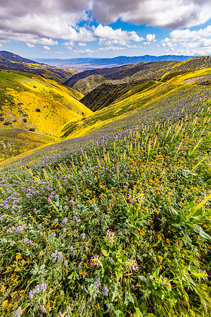 Valley of Color, Caliente Mountains-Carrizo Plain