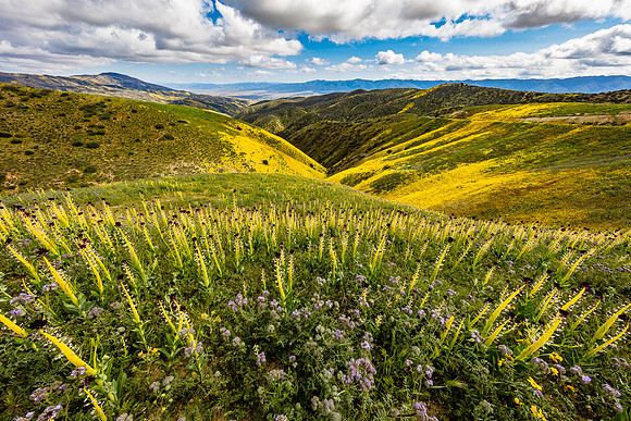 Candlestick Field, Caliente Mountains-Carrizo Plain