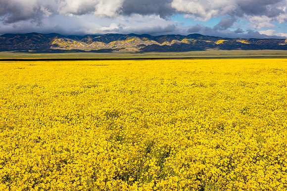 Storm Clouds over Temblor Range, Carrizo Plain
