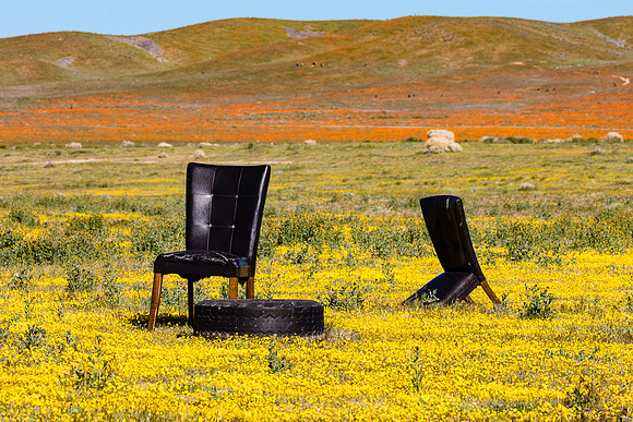 The Reason for Reserves, Antelope Valley