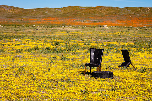 Goldfields and Garbage, Antelope Valley