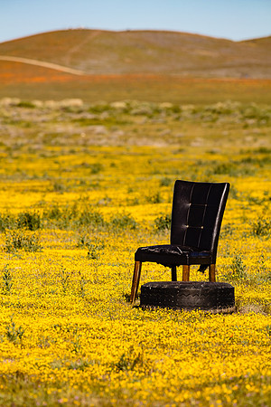 Limited Seating, Antelope Valley
